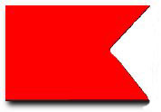 B  I am taking in, discharging or carrying dangerous goods